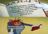 New hidden Rule You don't legally own your personal legally purchased copy of the product. American consumers
