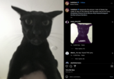 On her Instagram page, @hobbikats made a post acknowledging how her cat "Dexter" became a meme called "Larry" in February 2024. Larry is often jokingly portrayed as a scary and "evil" cat in a series of "Scariest Stories":https://knowyourmeme.com/memes/try-not-to-get-scared-scariest-stories style videos online. 