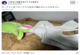 Several Japanese Twitter / X users posted photos of their Gardevoir plushes in early February 2025, showing the toy dressed up in various outfits and engaging in different activities. On February 9th, 2025, X user @sinatiku8810 posted a tweet showing their Gardevoir lying face down on a bed, alongside a caption that translates to, "When Gardevoir is laid face down on its stomach, its rear is amazing."