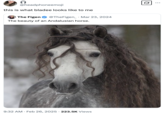 @headphoneemoji this is what bladee looks like to me The Figen @TheFigen_ Mar 23, 2024 The beauty of an Andalusian horse. 9:32 AM Feb 26, 2025 223.5K Views ...