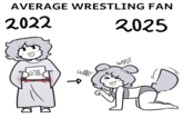 AVERAGE WRESTLING FAN 2022 2025 I PAID TO SEE CM PUNK woor WOOF