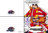 @VTNCOMICS A HEDGEHOG? SHADOW THE HEDGEHOG