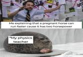 Me explaining that a pregnant horse can run faster cause it has two horsepower *My physics teacher