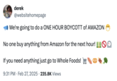 Leftist internet users criticized the idea of a "one-day boycott of the economy" with no specific demands that still allowed people to buy from "small businesses" in the days leading up to February 28th, the proposed "economic blackout" day. 