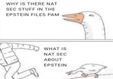 What is it? | /r/memes WHY IS THERE NAT SEC STUFF IN THE EPSTEIN FILES PAM DD WHAT IS NAT SEC ABOUT EPSTEIN e