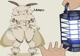 LAMP?