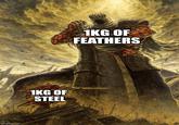 imgflip.com 1KG OF STEEL 1KG OF FEATHERS