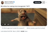 A tweet reacting to Donald Trump's address to the joint session of Congress, where the President criticized the Biden government for reportedly spending "$8 million for making mice transgender." The statement was supposedly in reference to funding allocated for research involving "transgenic mice," where "transgenic" refers to genetically modified mice, unrelated to human gender identity. 