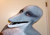 A photo of the "Dolphin Man" smiling with his mouth open, sourced from the website of the latex prosthetic manufacturer NorthFur FX. The image inspired the Dolphin Man "creepypasta":https://knowyourmeme.com/memes/creepypasta.