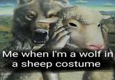 Me when I'm a wolf in ditz a sheep costumeel vitirine