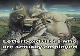@thefilmmemes Letterboxd users who are actually employed