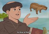 LA Is this a fish? SANTA BIBLIA