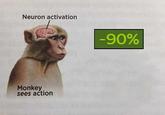 Neuron activation Monkey sees action -90%