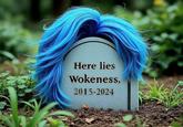 Facebook page The Don't Unfriend Me Show uploaded the earliest known "here lies wokeness" AI-generated image, captioning "The final resting place of Wokeness, 2015–2024, survived by common sense and free thought." 