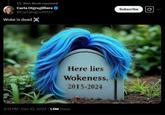 X CEO "Elon Musk":https://knowyourmeme.com/memes/people/elon-musk retweeted the AI image shared @CarlaDigru38122, who wrote "Woke is dead ☠️." 