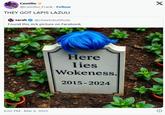 Cemilio @Cemilio_Frank. Follow THEY GOT LAPIS LAZULI sarah@cheetobutthole Found this sick picture on Facebook X 6:02 PM - Mar 6, 2025 Here Iies Wokeness. 2015-2024