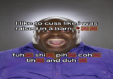 I like to cuss like i was raised in a barn fuh shi tih pih coh and duh