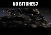 NO BITCHES?