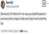 David @David_bets789 0 Obviously it's false ain't no way you bellyflooped on someone like a slippin slide and they lived to tell the tail 11:33 PM Mar 9, 2025 1.5M Views • •
