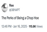 The Perks of Being a Chop Hoe floo @301APT The Perks of Being a Chop Hoe 12:46 PM Jan 16, 2025 115.6K Views .