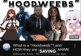 HOODWEEBS What is a "Hoodweeb"? and HOW they are Malcome Xnox · 99 SAVING ANIME ay ago 10:30