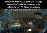 A "meme":https://knowyourmeme.com/memes/memes from a "TikTok":https://knowyourmeme.com/memes/sites/tiktok "photo slideshow":https://knowyourmeme.com/memes/sites/tiktok-photo-slideshows-photo-mode showing Tony Stark with the caption, "How it feels to be on 'Trap Royalty' while everyone else on ""I like to cuss like I was raised in a barn":https://knowyourmeme.com/memes/i-like-to-cuss-like-i-was-raised-in-a-barn."