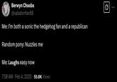 Berwyn Choobs @sabatonfan69 Me: I'm both a sonic the hedgehog fan and a republican Random pony: Nuzzles me Me: Laughs easy now 7:58 AM - Feb 4, 2025.55.6K Views 0