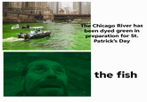 Chicago gang | /r/memes OCABER VGUINNESS The Chicago River has been dyed green in preparation for St. Patrick's Day the fish