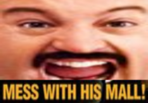 Mess with his Mall! MESS WITH HIS MALL!