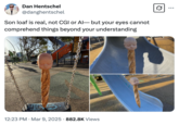 A "tweet":https://knowyourmeme.com/memes/sites/twitter-x from "Dan Hentschel":https://knowyourmeme.com/memes/people/dan-hentschel about Son Loaf not being CGI or "AI":https://knowyourmeme.com/memes/cultures/ai-artificial-intelligence.