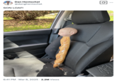 A photo of Son Loaf in the car, shared by "Dan Hentschel":https://knowyourmeme.com/memes/people/dan-hentschel in March 2025.