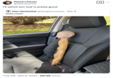 A "quote tweet":https://knowyourmeme.com/memes/quote-retweets-qrts of a Son Loaf "tweet":https://knowyourmeme.com/memes/sites/twitter-x from "Dan Hentschel":https://knowyourmeme.com/memes/people/dan-hentschel, reading, "I'll admit son loaf is pretty good."