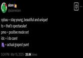 B aizen @aizenwizen sybau = stay young, beautiful and unique! ts = that's spectacular! pmo = positive mode on! idc = i do care! = actual grapes! yum! 9:24 PM - Mar 15, 2025 25.9K Views Ø