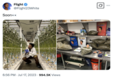 A "tweet":https://knowyourmeme.com/memes/sites/twitter-x shared by "YouTuber":https://knowyourmeme.com/memes/sites/youtube "FlightReacts":https://knowyourmeme.com/memes/people/flight-flightreacts about the launch of his cannabis brand Dutt Pack in mid-2023.