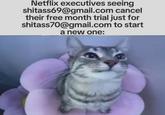 He can't do nothing cuz he a cat | /r/memes Netflix executives seeing shitass69@gmail.com cancel their free month trial just for shitass70@gmail.com to start a new one: