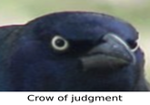 As high quality as possible, remade relative to that image of the crow of judgment 