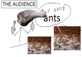 H--------! ants from @otternotterTV on twitter mhm yup