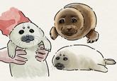 Internet users made fan art featuring Niko the Seal, who lives at the Toba Aquarium in Japan.