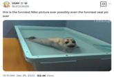 Niko the Seal became the subject of memes and edits after he was born in the Toba Aquarium in 2020. Niko is best known for the "Crying Seal":https://knowyourmeme.com/memes/crying-seal-he-was-forced-to-eat-cement-when-he-was-6 meme.