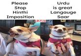 Please Stop Hinthi Imposition LOLFLIX Urdu is great Langauge Saar LILY LU 11 12 B