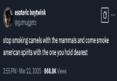 esoteric boytwink @gutnuggets Q stop smoking camels with the mammals and come smoke american spirits with the one you hold dearest 2:55 PM Mar 22, 2025 - 868.8K Views