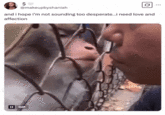A "tweet":https://knowyourmeme.com/memes/sites/twitter-x using the Almost Kissing Monkey "GIF":https://knowyourmeme.com/memes/cultures/gif, captioned, "And I hope I'm not sounding too desperate… I need love and affection."
