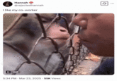 A "tweet":https://knowyourmeme.com/memes/sites/twitter-x using the Almost Kissing Monkey "GIF":https://knowyourmeme.com/memes/cultures/gif, captioned, "I like my co-worker."