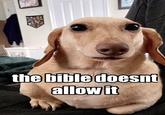 The Bible doesn't allow it the bible doesnt allow it