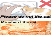 Please do not the cat Me when I the cat