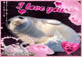 I love your