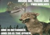 INSIDE ME, THERE ARE TWO WOLVES ONE IS RETARDED. AND SO IS THE OTHER.