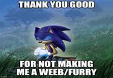 THANK YOU GOOD 2001 imgflip.com FOR NOT MAKING ME A WEEB/FURRY
