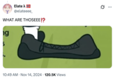 A "tweet":https://knowyourmeme.com/memes/sites/twitter-x making fun of Zak Mane's feet using the "What Are Those?":https://knowyourmeme.com/memes/what-are-those "catchphrase":https://knowyourmeme.com/memes/cultures/catchphrases.