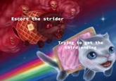 Escort the strider Trying to get the third ending